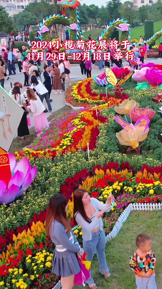 福州2024年小榄菊花展举办时间 - 抖音
