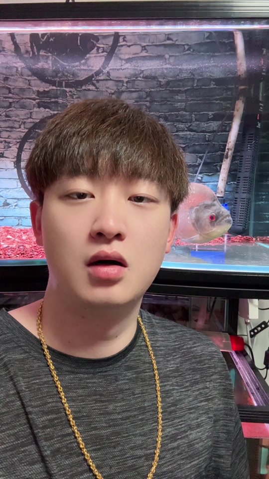 仙清儿吃过人吗