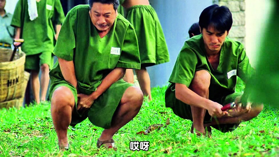 黑狱断肠歌之砌生猪肉删减啥- 抖音