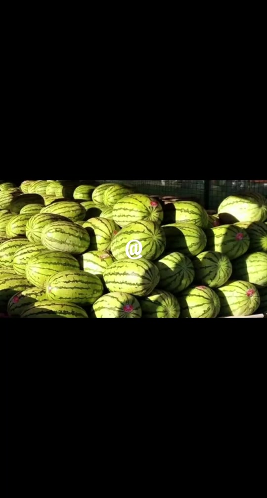 惠尔佳超市特价连连 新鲜流油咸鸭蛋10元15个 新鲜沙瓤西瓜0.