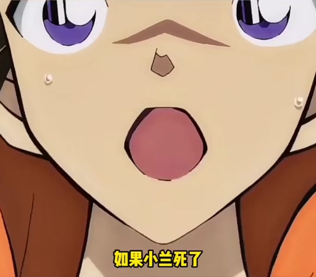 新一记忆殿堂里都是小兰