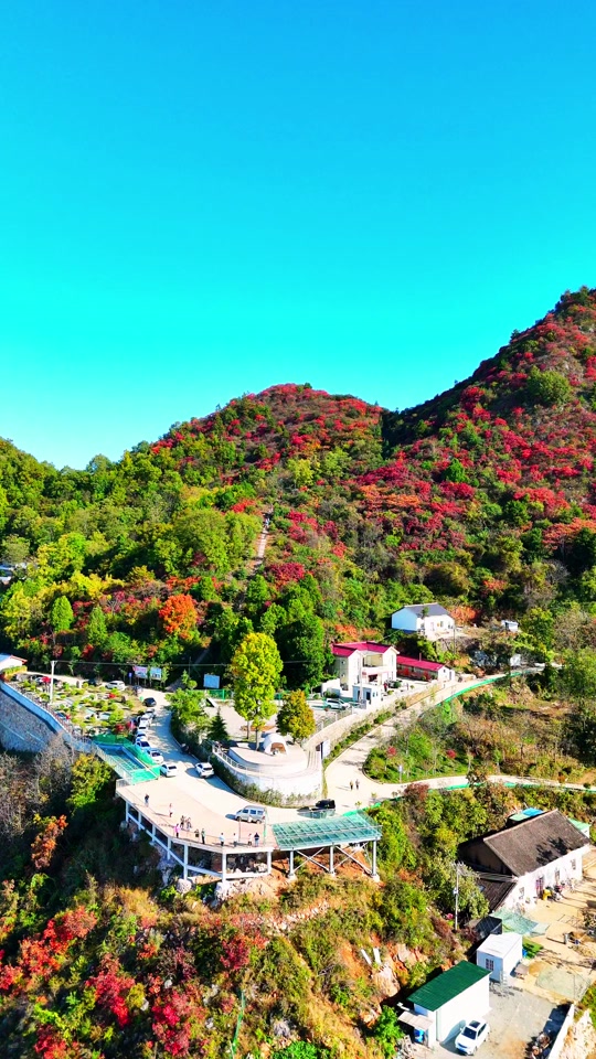 镇安海棠山云海