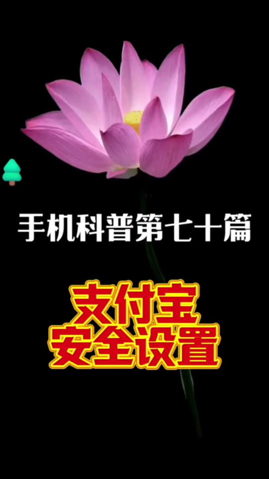 支付宝怎样弄指纹支付_指纹支付宝设置指纹解锁_支付宝指纹识别