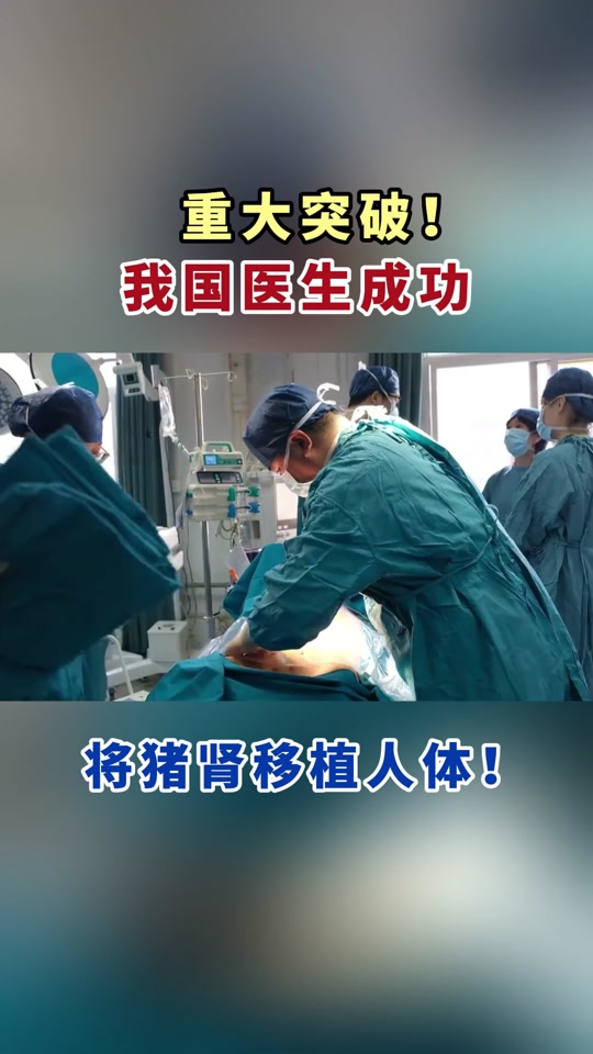 中国2024肾移植用猪肾了吗 - 抖音
