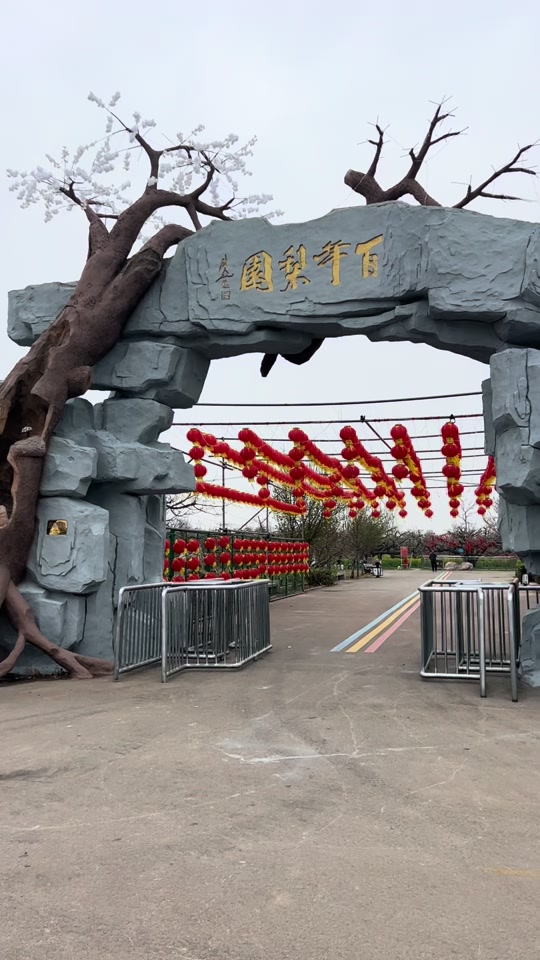 唐庄梨花节什么时候开 - 抖音