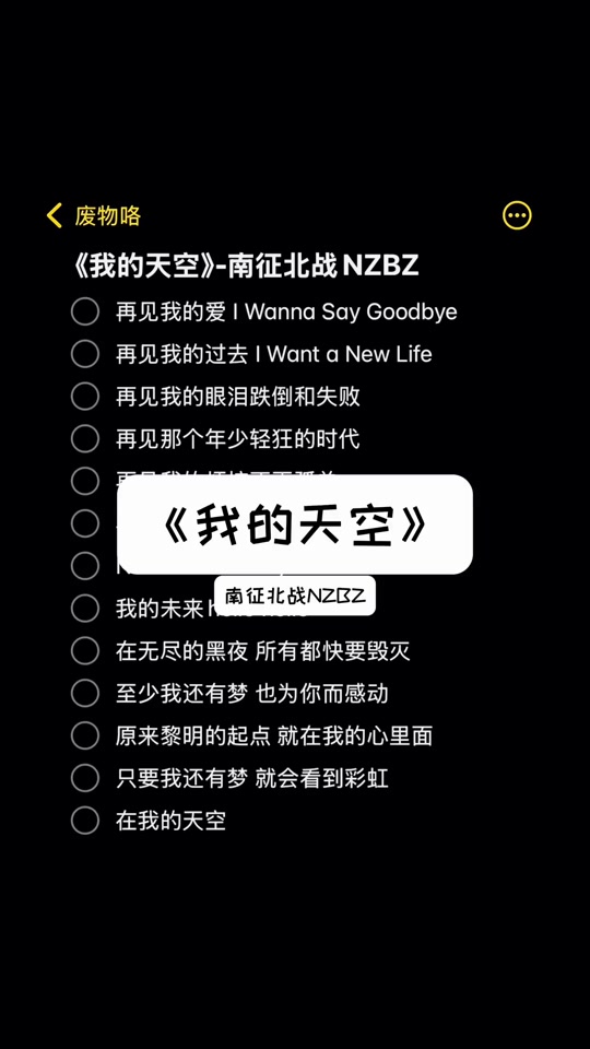 年少轻狂的时代歌曲