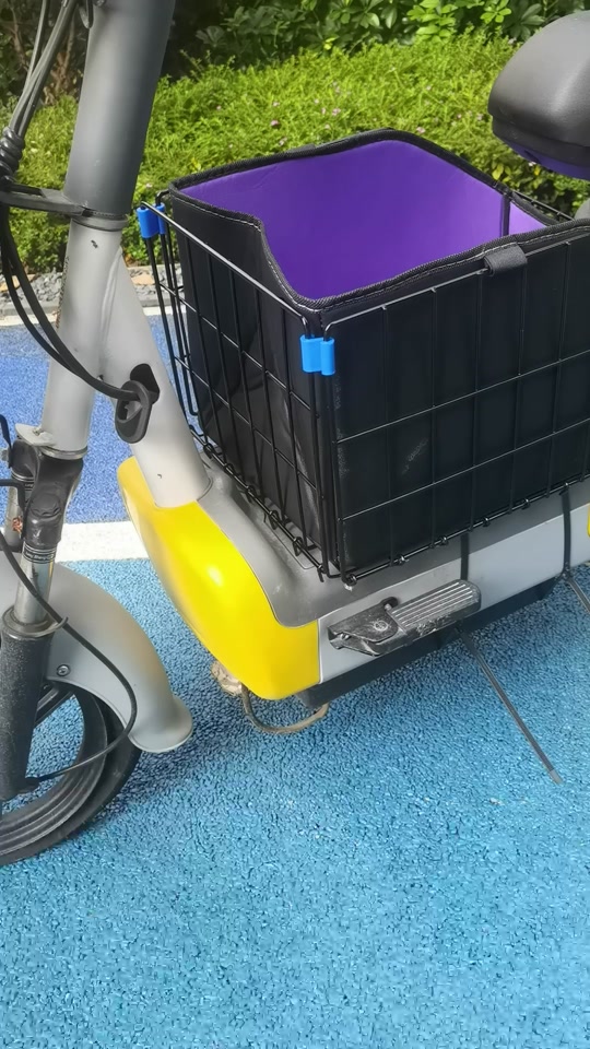 宠物车筐电动车