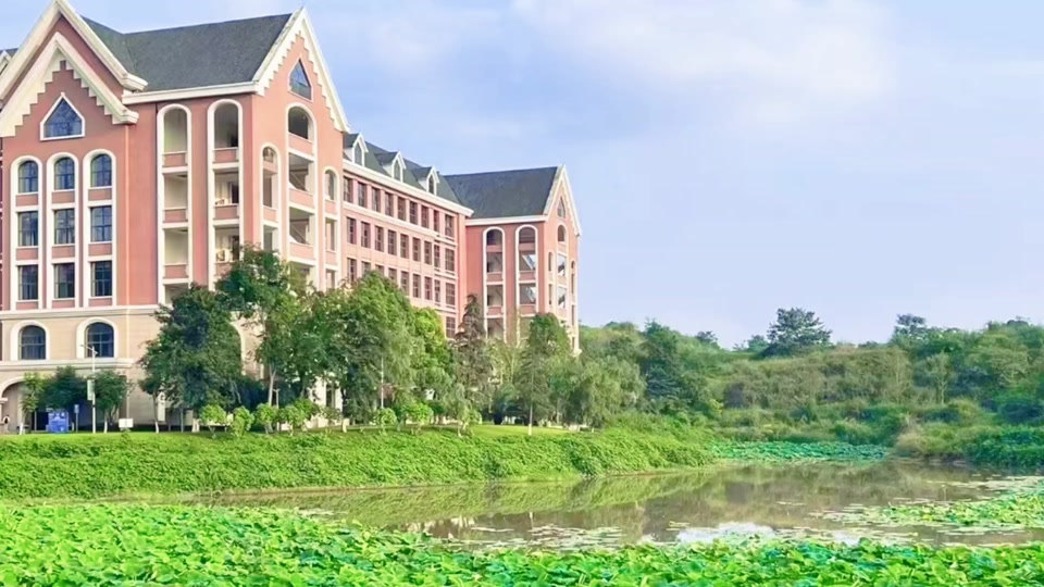 重庆财经学院宿舍怎么分配 - 抖音
