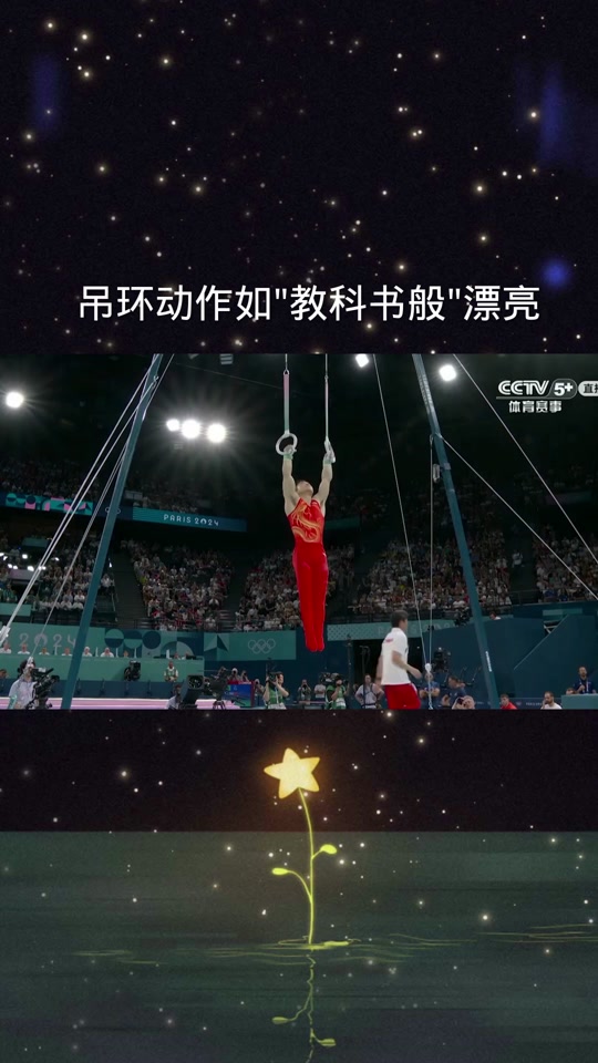 刘洋吊环比赛李小双评论了吗 - 抖音