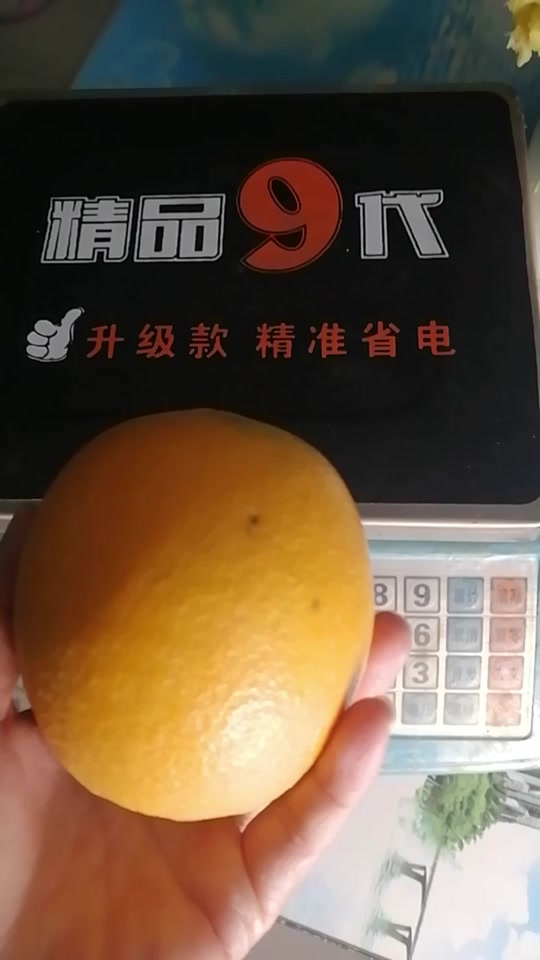 橙子知道抖音=抖音主持人橙子的真实名字
