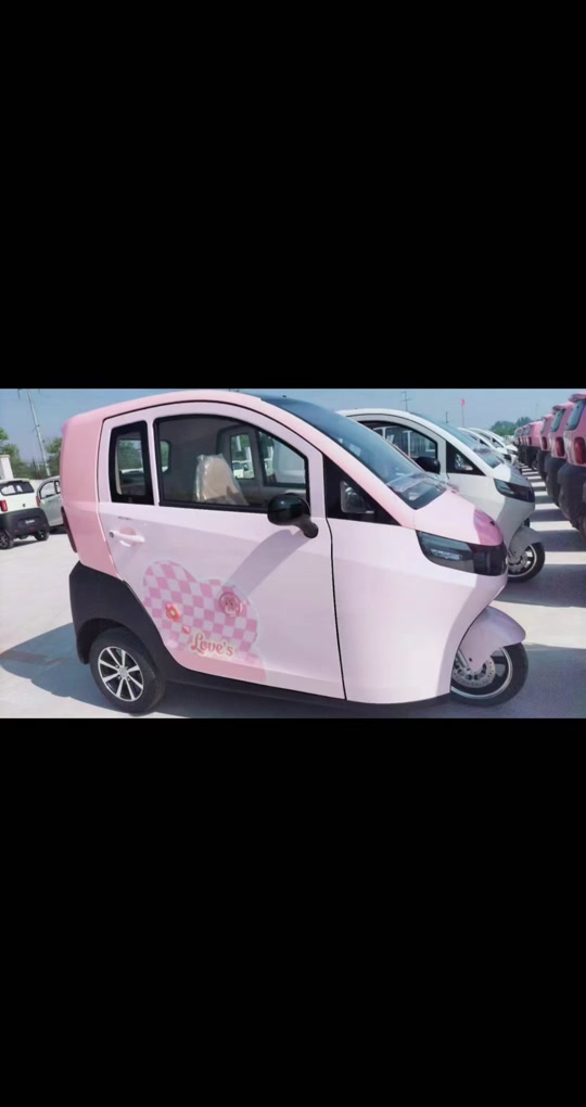 真爱电动车总有一款适合你 - 抖音