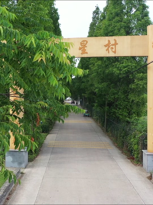 金坛三星村遗址