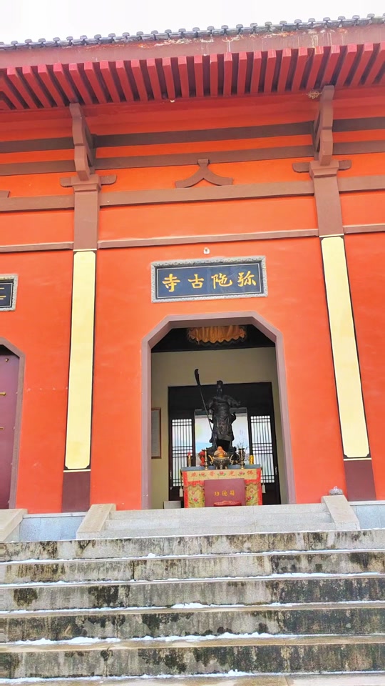 西安弥陀寺千年古玉兰