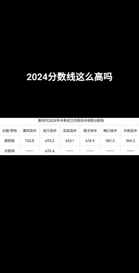 2024ϸ߿_2023ϸ߿_2031߿