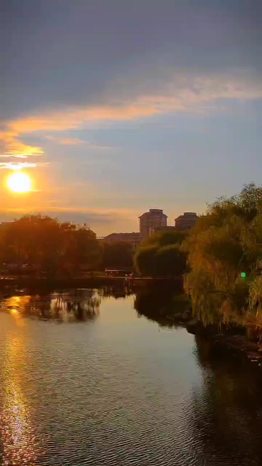 夏日晚风吹拂 静心安享大自然.