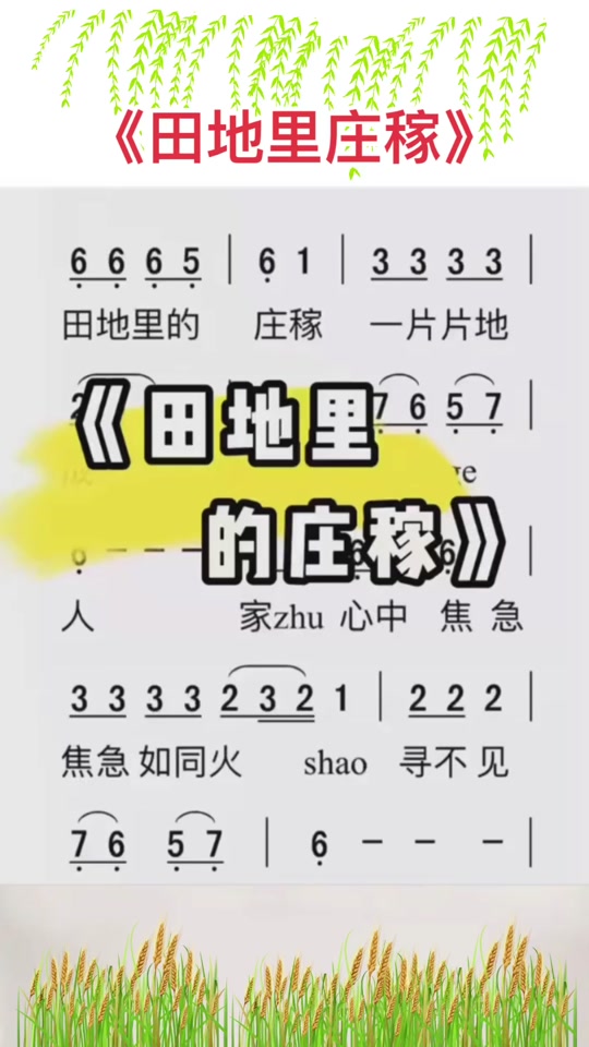 田地里的庄稼歌词歌谱图文 - 抖音