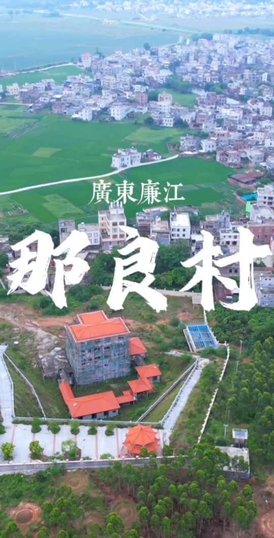 廉江那良村庞春伟别墅拆除