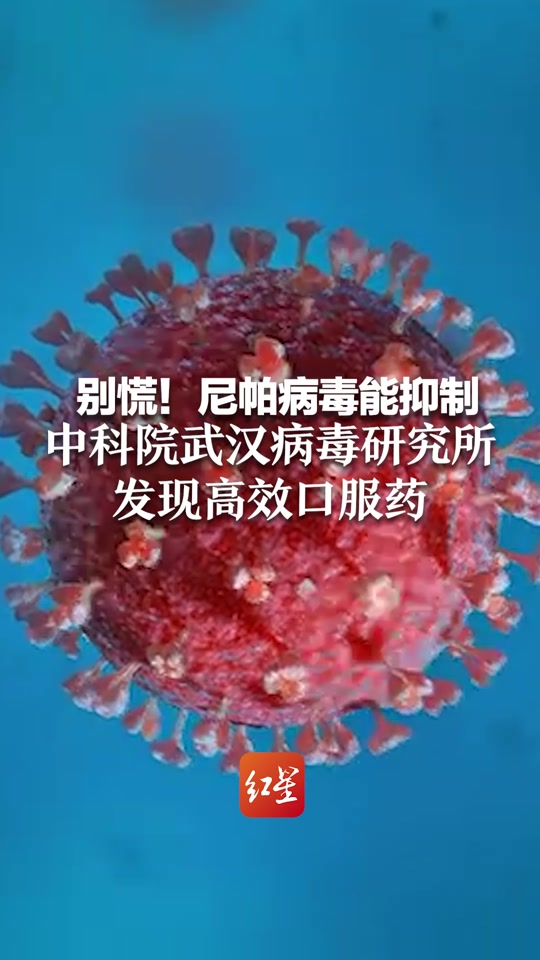  武汉新冠病毒爆发日期(武汉新冠爆发是几月几日)