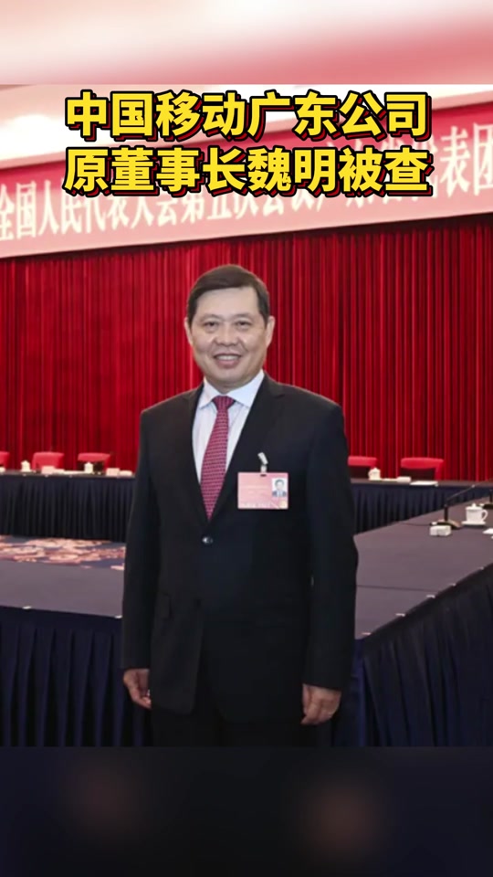 魏明是哪个公司的董事长