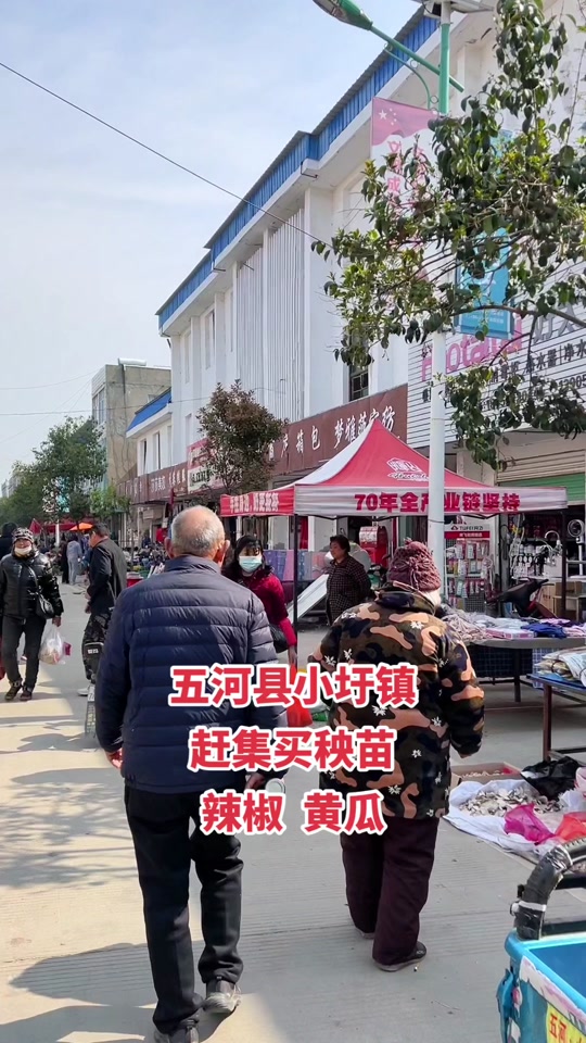 2024年五河县小圩镇赶会时间 - 抖音