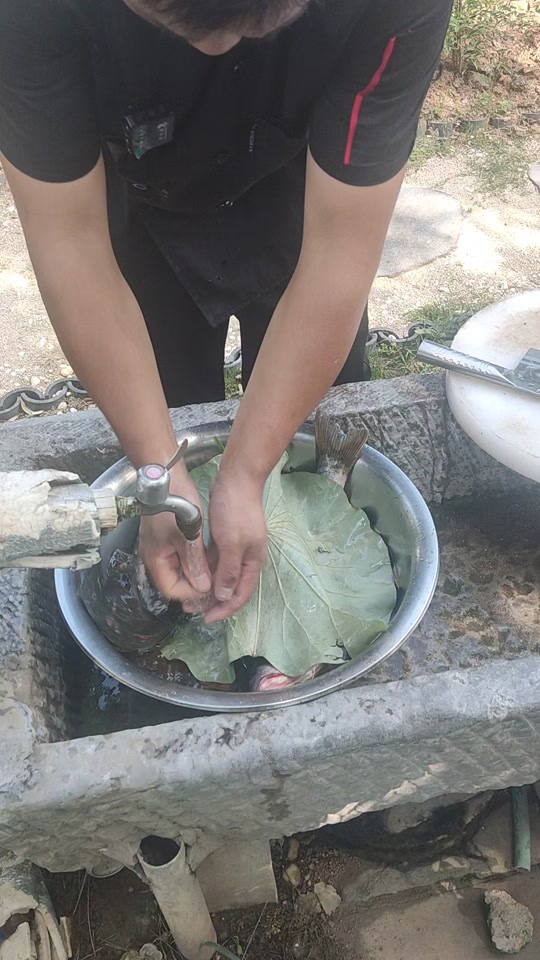 血鳞鲶鱼，血鳞鲶鱼多少级可以钓