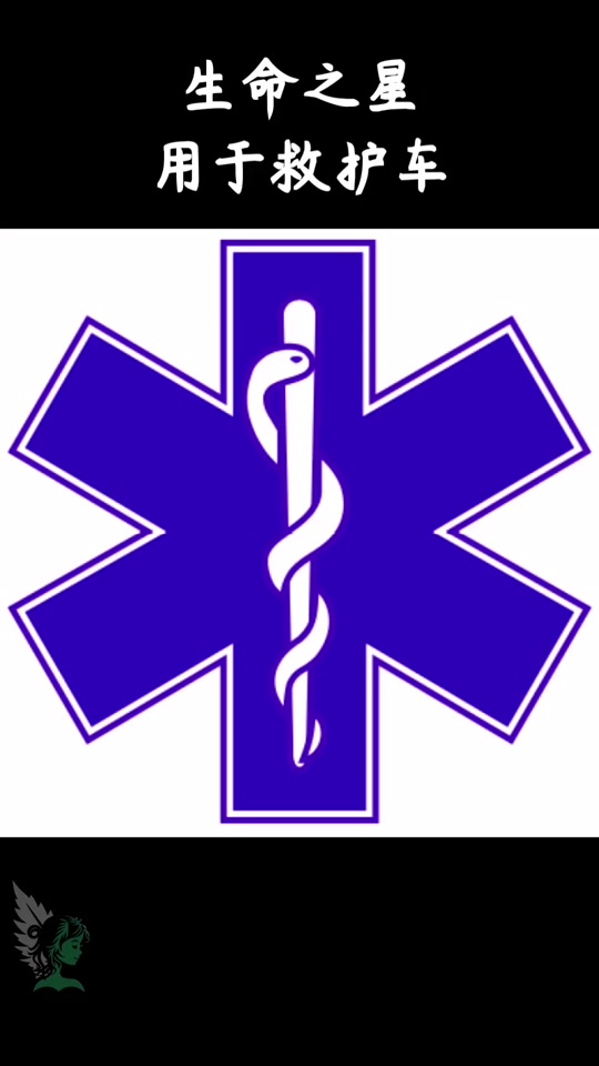 衔尾蛇吞自己尾巴的图腾