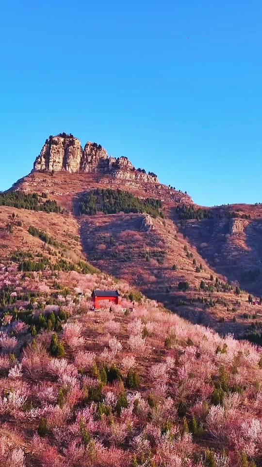 青州上稍村桃花山攻略
