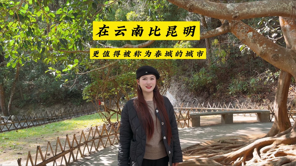 云南被称为什么