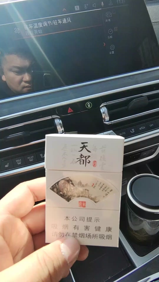 天都烟2021价目表_天都巨匠烟3000一条_16支天都是大天都还是小天都