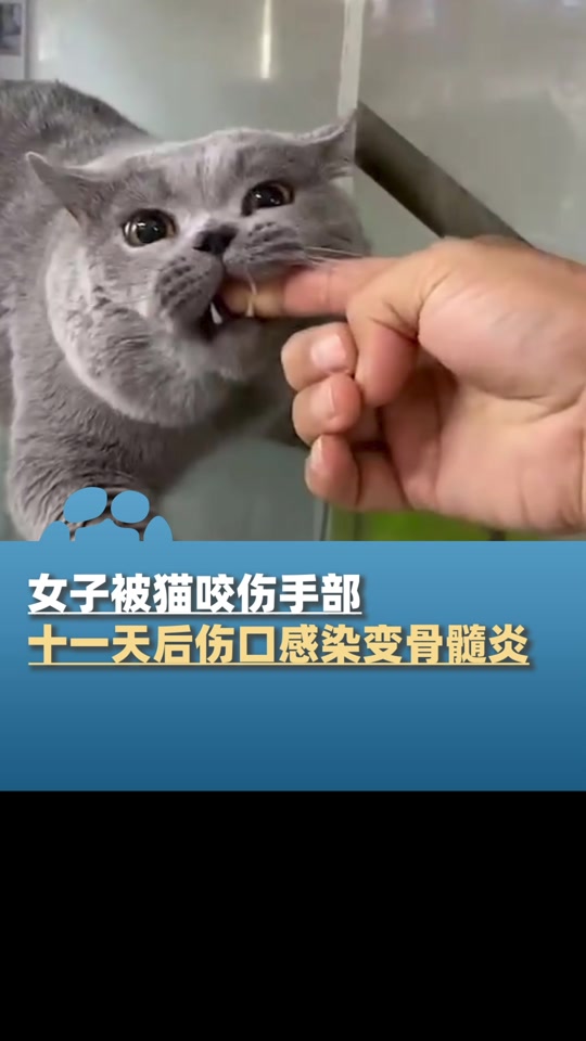 小猫为什么喜欢咬人