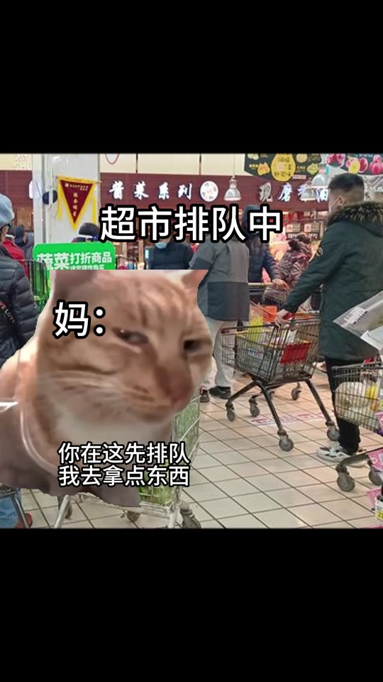 超市我表情包_猫咪超市我表情包_超市表情包促销表情包 - 抖音