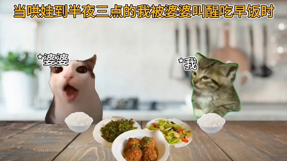 不同时期的学生考60分~你是哪个时期？ #猫meme小剧场 #猫meme #数感星球 #奥运会 #家庭教育 - 抖音