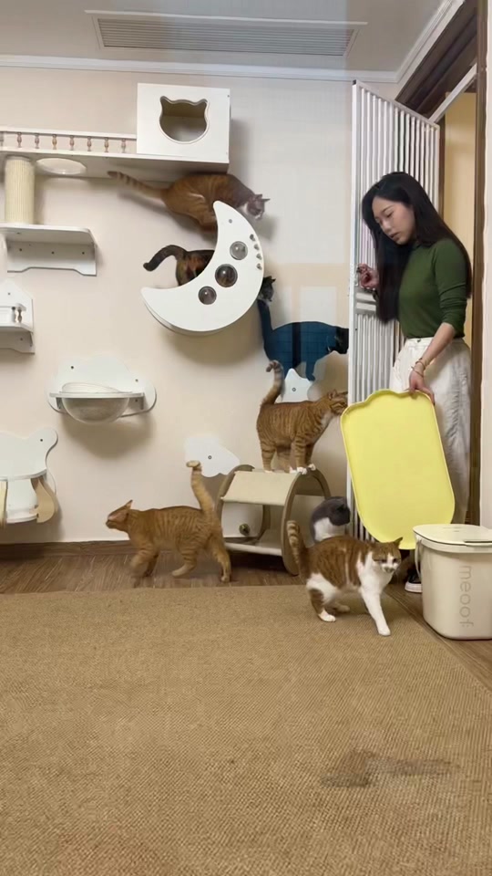 抖音如何制作文字图片_抖音文字图片制作软件_抖音文字图片制作方法