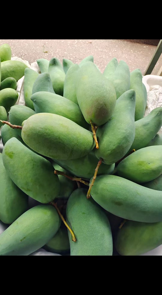 快乐就好:攀枝花大金煌芒果尾期了!