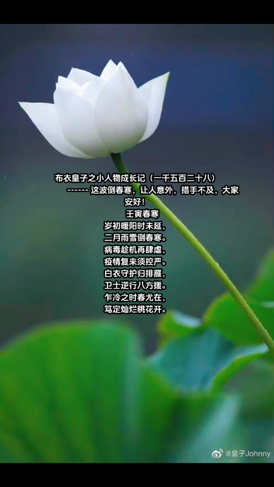 布衣皇子之小人物成长记(一千五百二十八)                ------ 这
