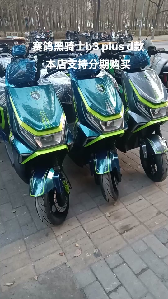 赛鸽电动车b3配置 - 抖音
