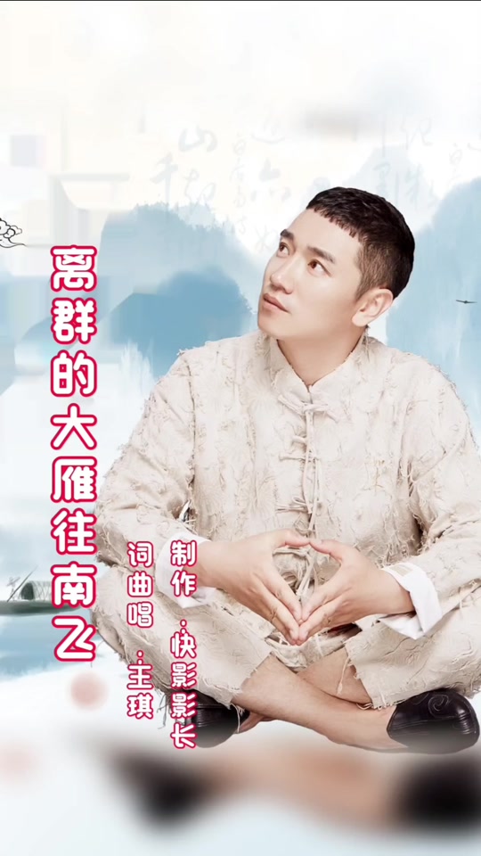 王琪离群的大雁往南飞