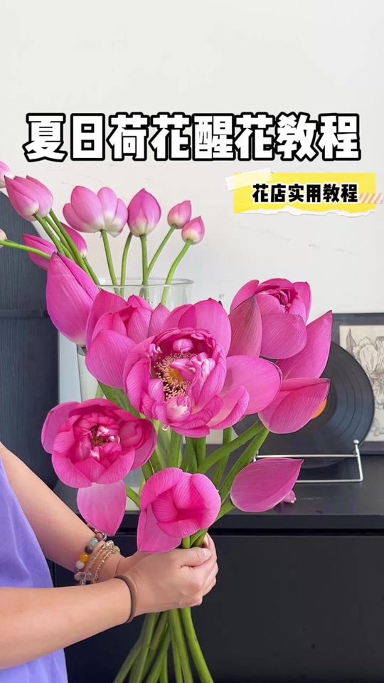 荷花人工醒花教程云南