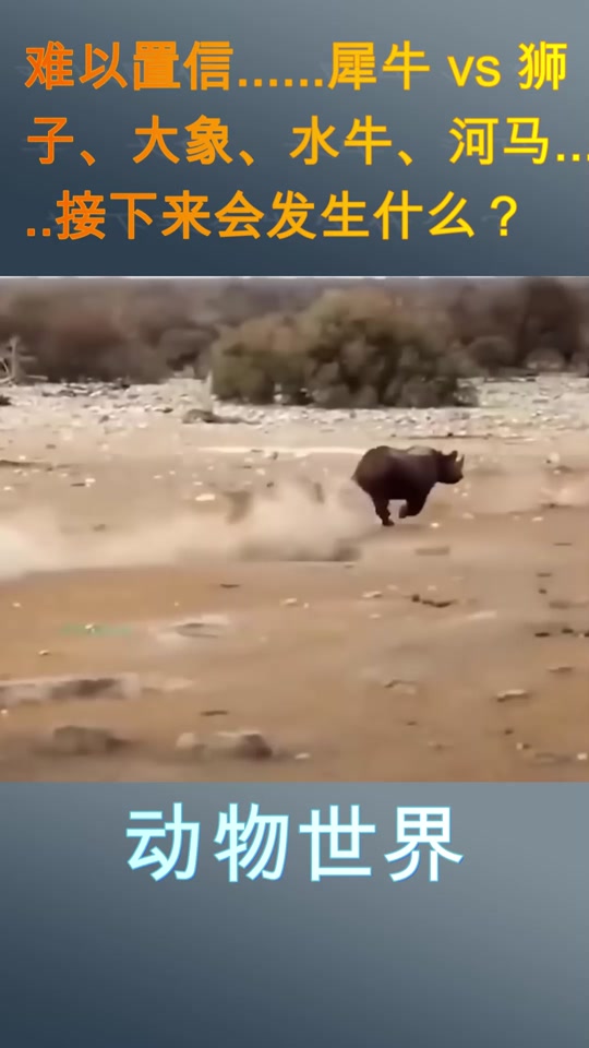 喜羊羊与灰太狼河马大战水牛