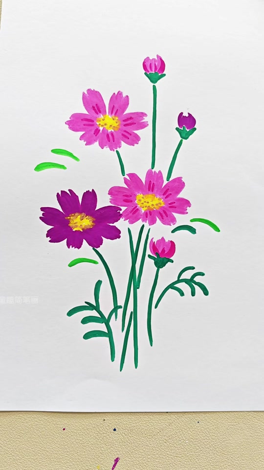 一看就会的格桑花简笔画 #简易花草画法 #格桑花 #花朵简笔画 #丙烯
