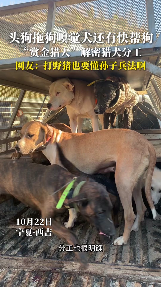 宁夏赏金猎人都有哪些队 - 抖音