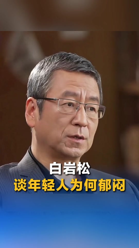 白岩松手机