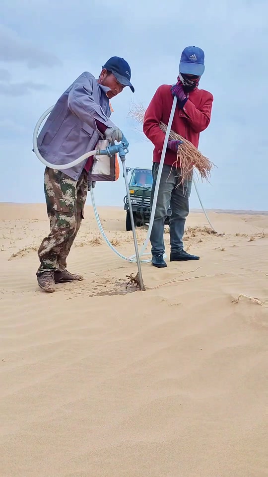 沙漠种树前后对比 - 抖音