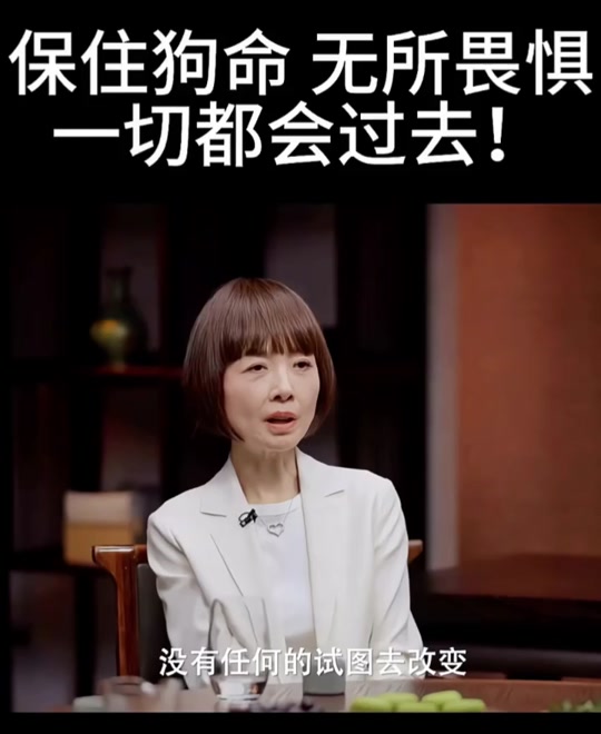 保住狗命无所畏惧电脑壁纸