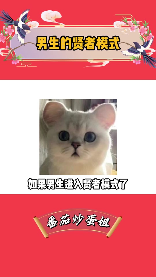 贤者模式什么意思 - 抖音