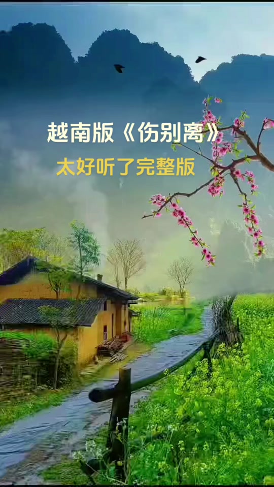 伤别离抖音=伤别离dj舞曲