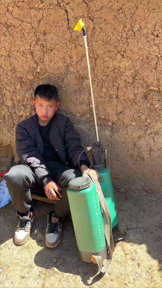 不屑弟孙童哈佛毕业后真实现状 - 抖音