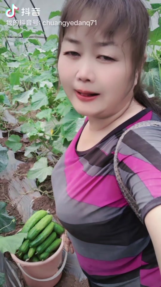 抖音单亲=抖音单亲爸爸个人简介大全