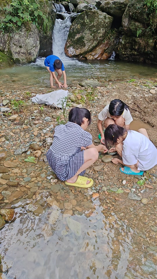 在农村小河沟里抓鱼 ,小溪流水哗啦啦