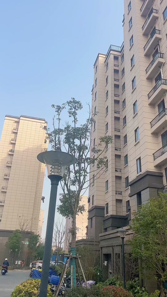 北蔡莲溪六村动迁有机会吗